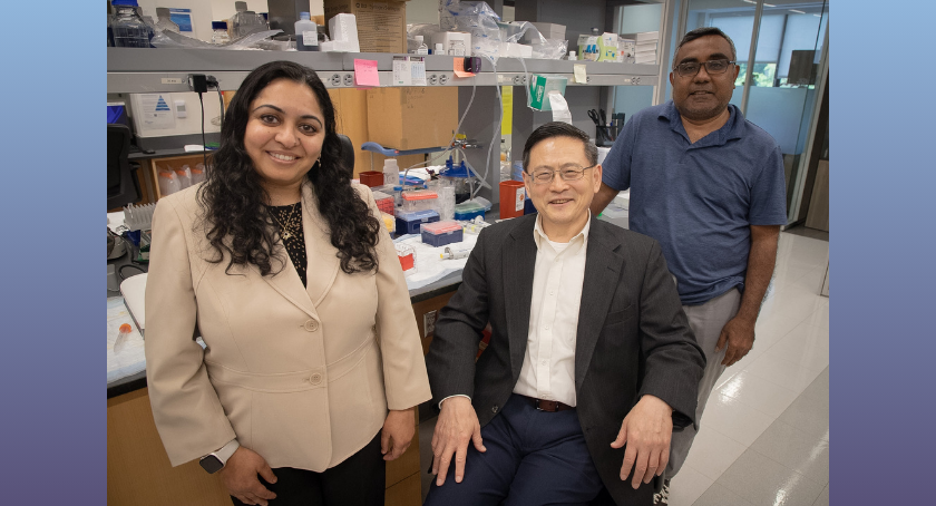 Feinstein Institutes Secures $4.9 Million in NIH Grants for Two Studies